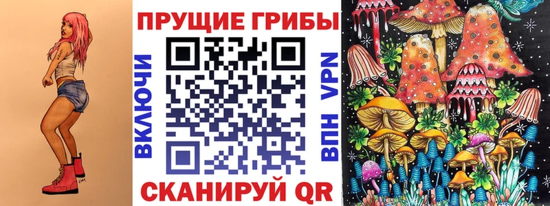 магазин наркотиков Вичуга Псилоцибиновые грибы Psilocybine cubensis