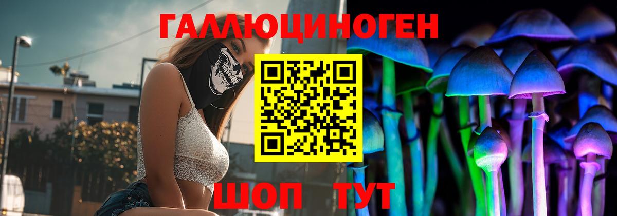 Галлюциногенные грибы MAGIC MUSHROOMS  Вход с VPN  Вичуга 